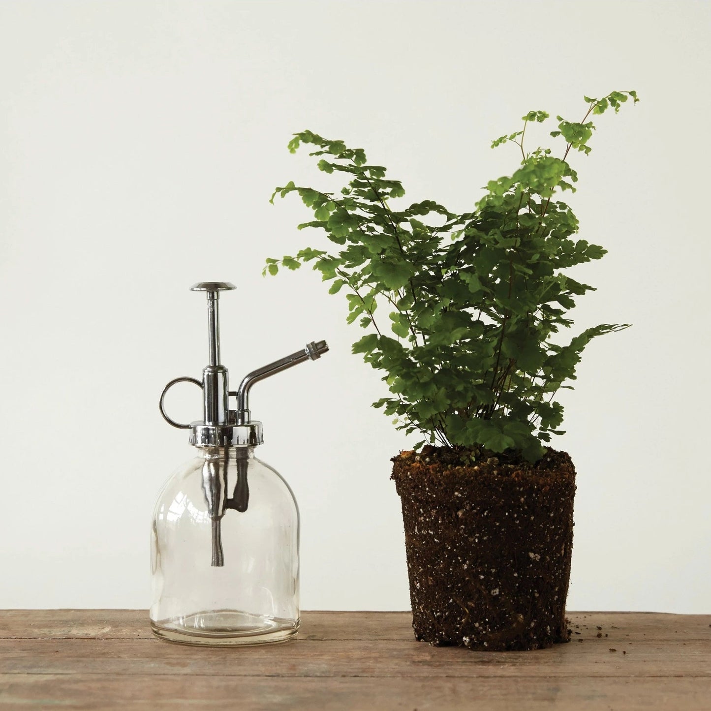 Creative Co-Op, Glass Plant Mister in Silver - Boutique Dandelion